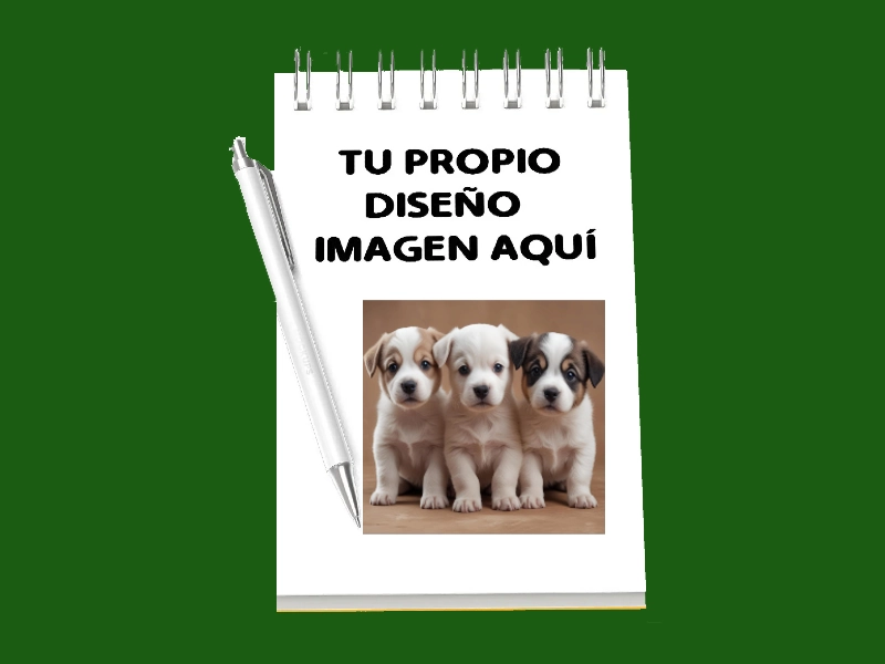 Croqueras
